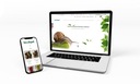 ВЕБ-САЙТ WWW + RWD + CMS + SSL