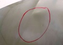 DIEDERICHS 2295100 COUVERCLE CHAMBRES MOTEURphoto 13