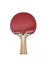 PALETKA DO TENISA STOŁOWEGO STIGA EVOLVE
