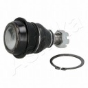 PIVOT ASHIKAphoto 11
