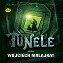 Туннели - Брайан Уильямс, Родерик Гордон, CD MP3, продажа