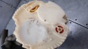 POMPE CARBURANTS FIAT STILO I 1.6B 01-10R 580314107photo 7