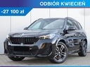 BMW X1 xDrive23i Sport Suv 2.0 (218KM) 2024