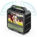 1080P TELEWIZOR PRZENOŚNY DVB-T2 12V/9A W 60W GŁOŚNIK HDMI RADIO FM MONSTER