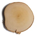 Большой кусок дерева, березовые деревянные диски, 25-30 см.