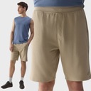 4F МУЖСКИЕ СПОРТИВНЫЕ ШОРТЫ SS24