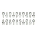 TORNILLOS 12X1,5 PARA DISCOS ACERO BOLA 20MM JUEGO 20SZT 