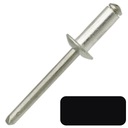 ЗАКЛЕПКИ 4,8x10мм - ЦВЕТ RAL9005 - 100 ШТ.