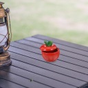 ELEGANCKA КРАСНАЯ КЕРАМИЧЕСКАЯ ПЕПЕЛЬНИЦА APPLE DESIGN NA ПРИБОРНАЯ ПАНЕЛЬ  фото 15