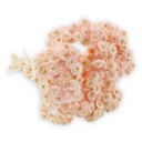 Kocanka Suszona Włoska (Helichrysum italicum) - Róż Perłowy