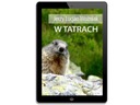 W Tatrach - ebook