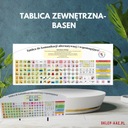 ВНЕШНЯЯ ДОСКА - БАССЕЙН