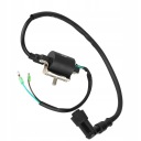 КОТУШКОЮ ЗАПАЛЮВАННЯ 12V ДЛЯ 50CC 70CC 90CC 110CC 125CC PIT ДВИГУН TERENOWY ATV  (17511529434) фото min 15