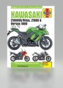 КАК Отремонтировать МОТОЦИКЛ KAWASAKI ZX 1000 SX 1043 куб.см (2011-2016 гг.)? ОПИСАНИЕ