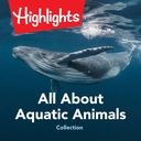 All About Aquatic Animals Collection (2021)