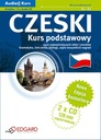 Базовый курс чешского языка