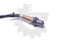 ESEN SKV 09SKV404 SONDE LAMBDAphoto 14