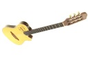 GODIN MULTIAC NYLON DUET AMBIENCE топ-модель