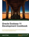 Oracle Essbase 11 Development Cookbook - ebook