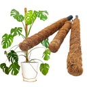 Опора для горшечных растений, цветов, кокосовый кол, шест 60см/25мм