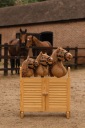 Хоббіхорс Super Hobby Horse