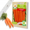 Семена овощей на ленте морковь свекла огурец петрушка другое НАБОР