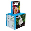 Редуктор давления 1 бар, ирригация Tropf-Blumat