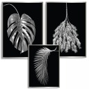 3x Набор ПОСТЕРОВ А2 40Х50 см СЕРЕБРЯНЫЙ ПАЛЬМОВЫЙ ЛИСТ МОНСТРИАЛЬНЫЙ ЛИСТ ЧЕРНЫЙ