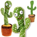 КАКТУС ПОВЕТИТ ТАНЕЦ ПОВТОРЯЕТ ГОВОРИТ НА USB