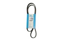 DAYCO COURROIE EN V MULTICANAL MICRO-V 5PK1355photo 15
