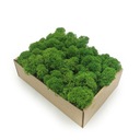 Финский крабовый мох Forest Green 50г НЕТТО