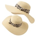 ЛЕТНЯЯ ПЛЯЖНАЯ ШЛЯПА ЖЕНСКАЯ С БОЛЬШИМИ ПОЛЯМИ