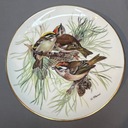 TIRSCHENREUTH декоративная тарелка Bradex birds