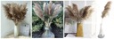 СУШЕННАЯ ТРАВА БОХО SU2 x5 ваза из сушеной натуральной травы в стиле бохо, пампас, свадебный букет