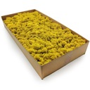 Финский мох 500г.