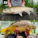 Кошики, Приманки Пружини Sahido Кошик Для Способу 20G 30G