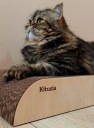 когтеточка для кошек картонная когтеточка для кошек