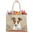 Большая короткая ставка Fox Terrier