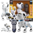 ИНТЕРАКТИВНАЯ РОБО-СОБАКА С ДИСТАНЦИОННЫМ УПРАВЛЕНИЕМ ГОЛОСОМ СОБАКА ТАНЦУЕТ ПРОГУЛЯЕТ + ДИСТАНЦИОННОЕ УПРАВЛЕНИЕ