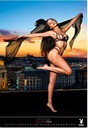 Playboy Секс женщины обнаженные календарь 2024 женщины артистичные красотки красотки