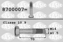 DISCOS DE EJE CIGÜEÑAL SASIC 8700007 