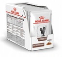 Royal Canin GASTRO INTESTINAL для кошек 12 x 85 г