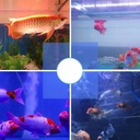 Светодиодные ленты Aquarium RGB, 16 цветов, IP68, 38 см