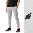 МУЖСКИЕ СПОРТИВНЫЕ БРЮКИ 4F, СПОРТИВНЫЕ БРЮКИ, СПОРТИВНЫЕ БРЮКИ