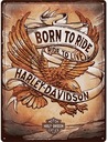 Вывеска Harley-Davidson Born to Ride 30х40 Ностальгия 23317