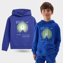 СВИТШОТ С КАПЮШОНОМ 4F ДЛЯ МАЛЬЧИКОВ AW23M632