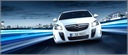 ДИНАМИК ДВЕРНЫЕ СВИСТОК BOSE OPEL INSIGNIA B изображение 2