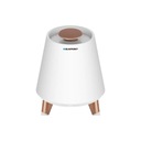 ДИНАМИК BLUETOOTH СО СВЕТОДИОДНОЙ ПОДСВЕТКОЙ BT25LAMP