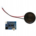 ZK-VR01 Модуль распознавания речи AI интеллектуальный