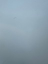 ДВЕРІ ПРАВЕ ЛІВЕ ЗАД NISSAN JUKE F15 КОД 326G - WAWA  (17544153570) фото min 13